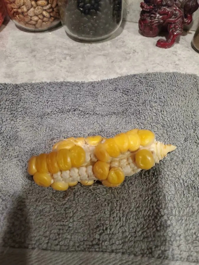 Miniature Harvest (19 pics) Miniature Harvest (19 pics)