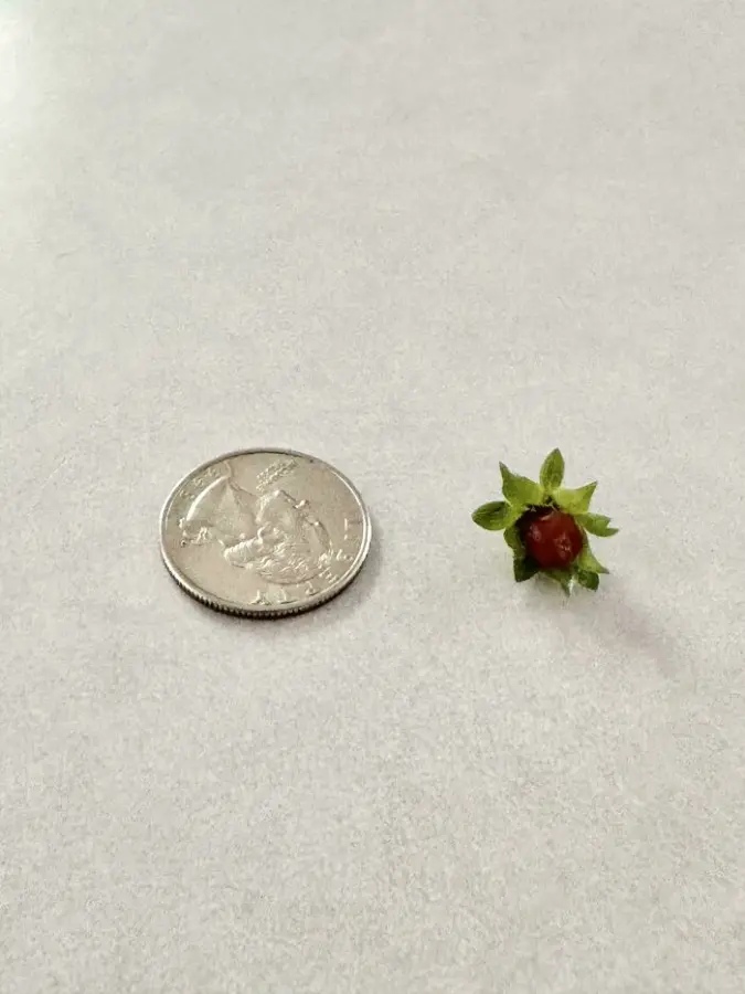 Miniature Harvest (19 pics) Miniature Harvest (19 pics)