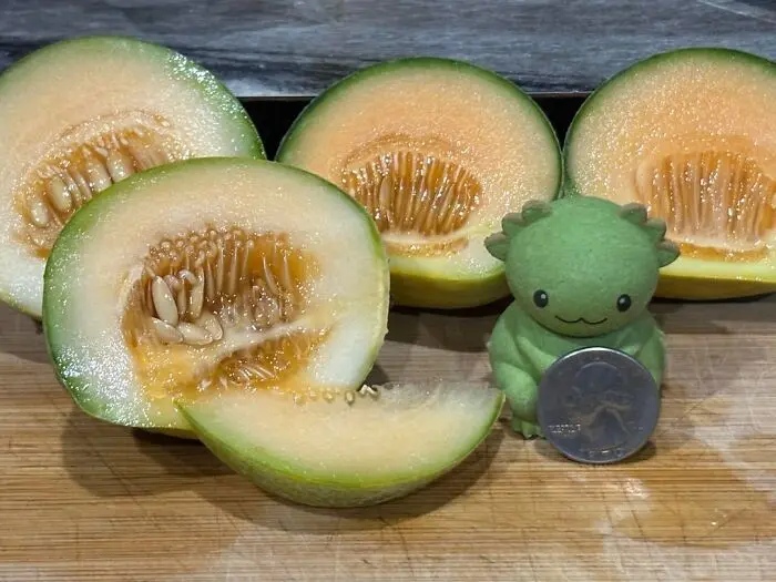 Miniature Harvest (19 pics) Miniature Harvest (19 pics)