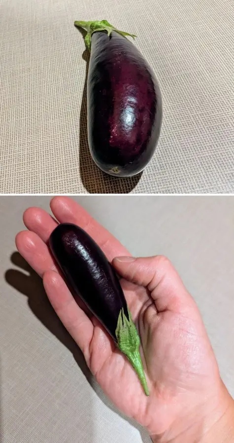 Miniature Harvest (19 pics) Miniature Harvest (19 pics)