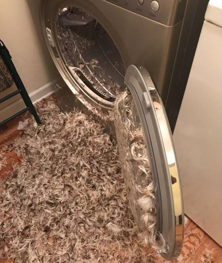 Daily Pictures. Part 1 (91 pics)