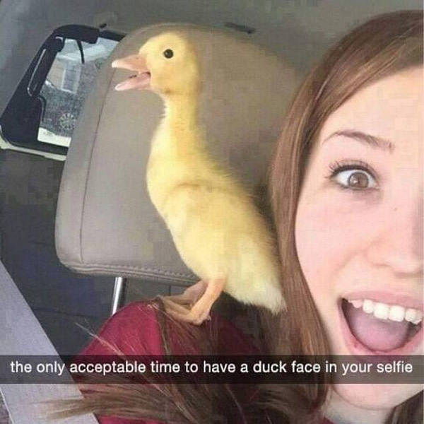 Daily Pictures. Part 2 (90 pics)