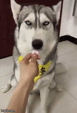 Acid GIFs, September 9 (25 gifs) Acid GIFs, September 9 (25 gifs)