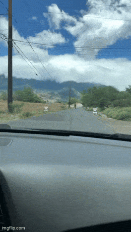 Acid GIFs, September 9 (25 gifs) Acid GIFs, September 9 (25 gifs)