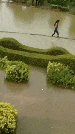 Acid GIFs, September 9 (25 gifs) Acid GIFs, September 9 (25 gifs)