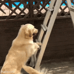 Acid GIFs, September 9 (25 gifs) Acid GIFs, September 9 (25 gifs)