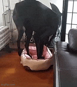Acid GIFs, September 9 (25 gifs) Acid GIFs, September 9 (25 gifs)