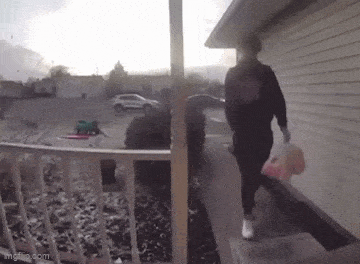 Acid GIFs, September 9 (25 gifs) Acid GIFs, September 9 (25 gifs)