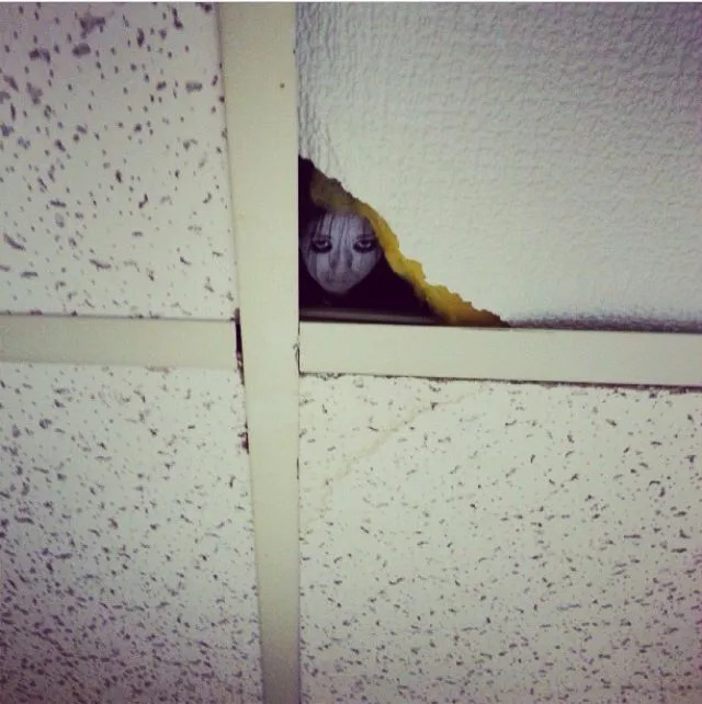 Funny Pranks (23 pics)
