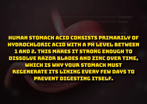 Scientific Facts (15 pics) Scientific Facts (15 pics)
