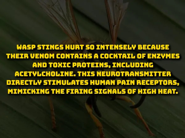 Scientific Facts (15 pics) Scientific Facts (15 pics)