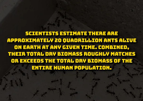 Scientific Facts (15 pics)