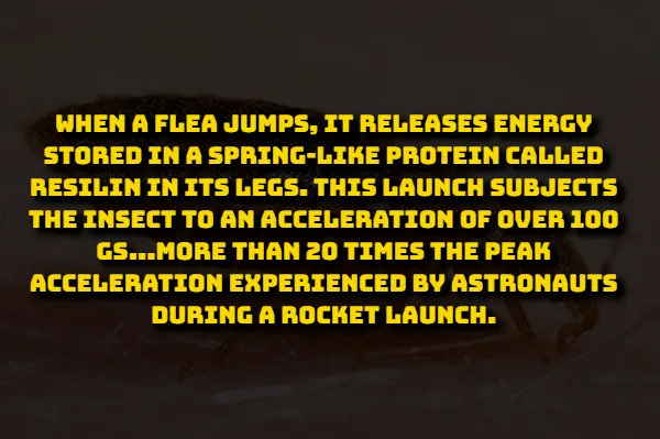 Scientific Facts (15 pics) Scientific Facts (15 pics)