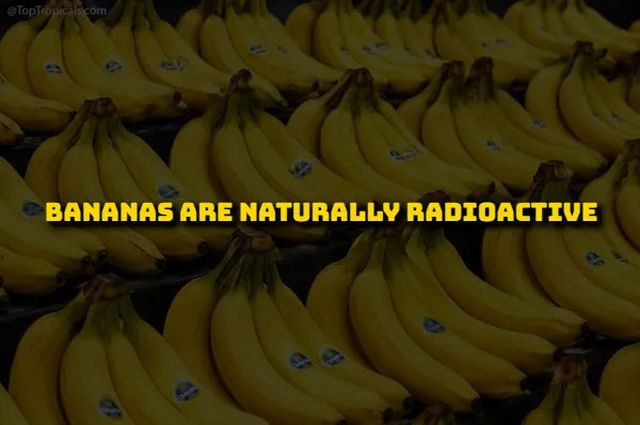 Scientific Facts (15 pics)