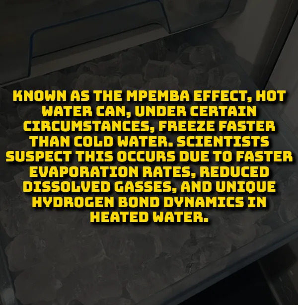 Scientific Facts (15 pics) Scientific Facts (15 pics)