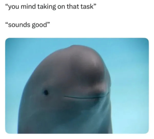 Work Memes (21 pics)