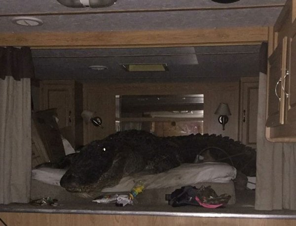 Bad Days Happen (23 pics) Bad Days Happen (23 pics)