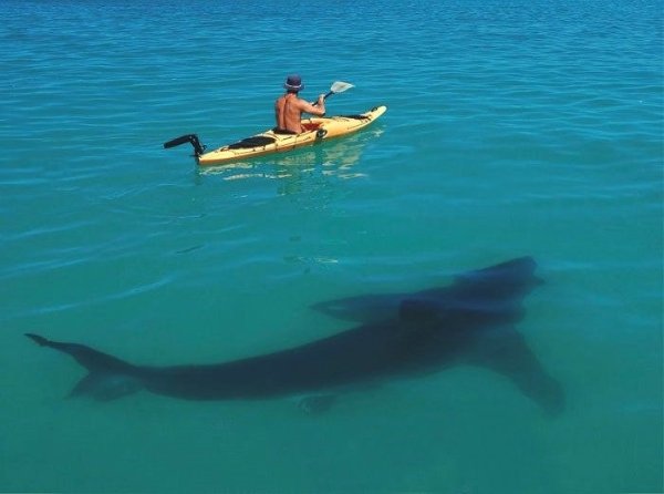 Bad Days Happen (23 pics) Bad Days Happen (23 pics)