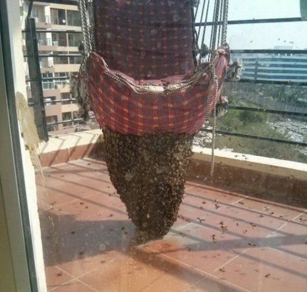 Bad Days Happen (23 pics) Bad Days Happen (23 pics)