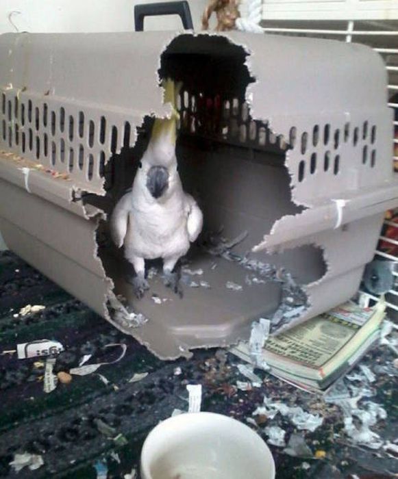 Unfortunate Situations (23 pics) Unfortunate Situations (23 pics)