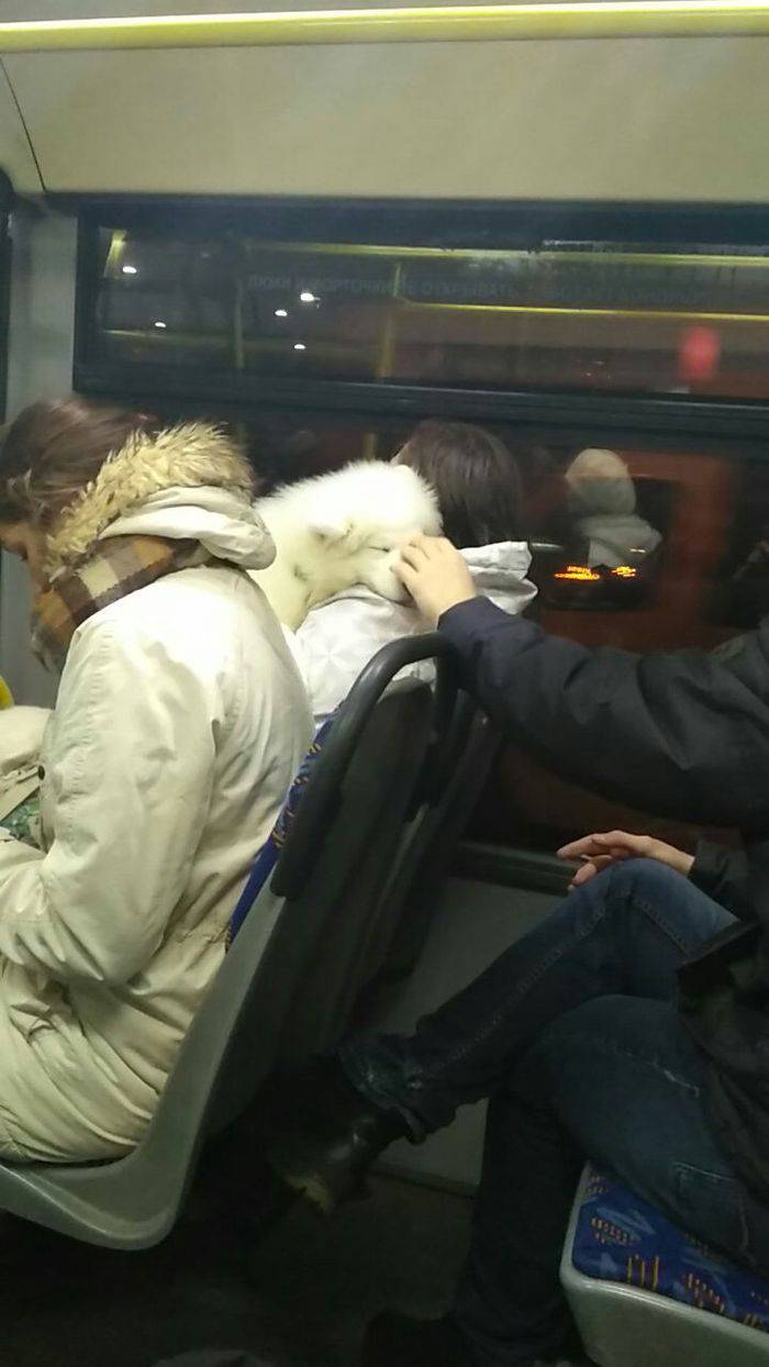 Daily Pictures. Part 2 (76 pics)