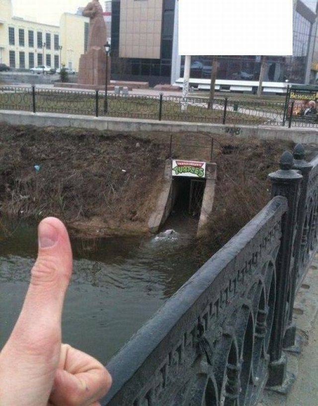 Daily Pictures. Part 1 (77 pics)
