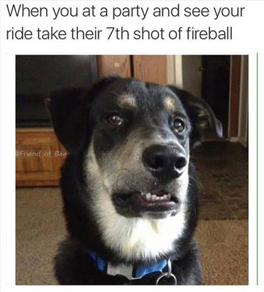 Daily Pictures. Part 2 (76 pics)