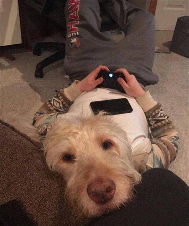 Daily Pictures. Part 2 (76 pics)