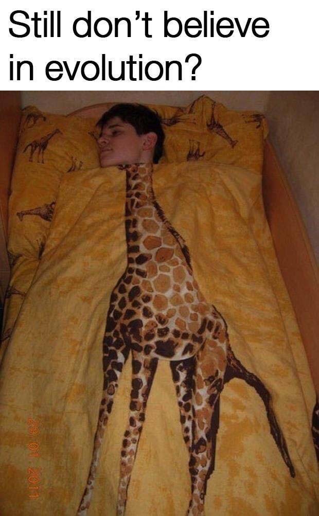 Daily Pictures. Part 2 (76 pics)