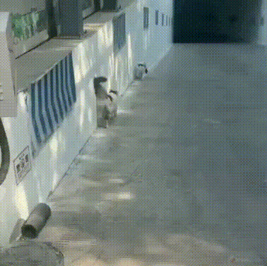 Acid GIFs, September 10 (25 gifs)