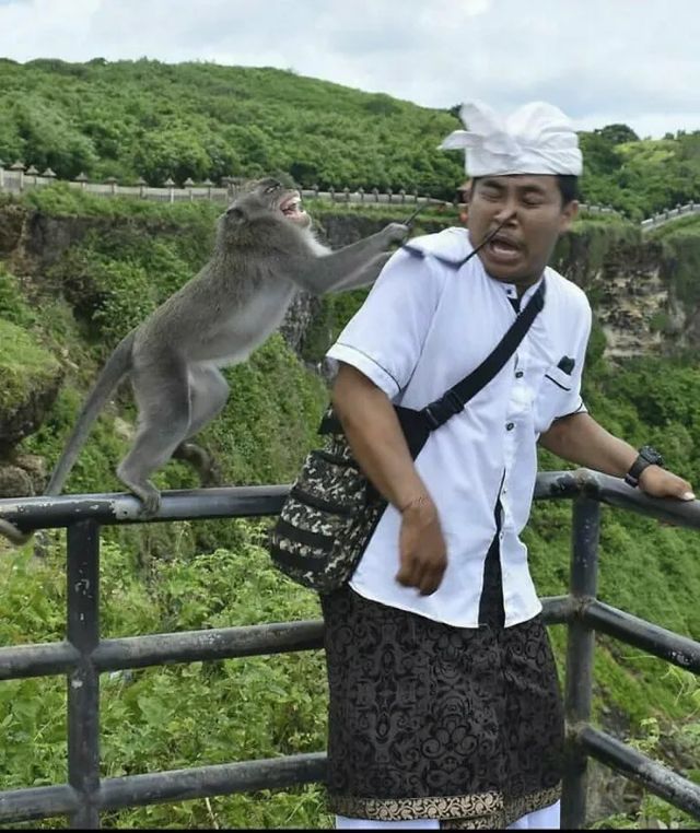 Right Moment (23 pics)