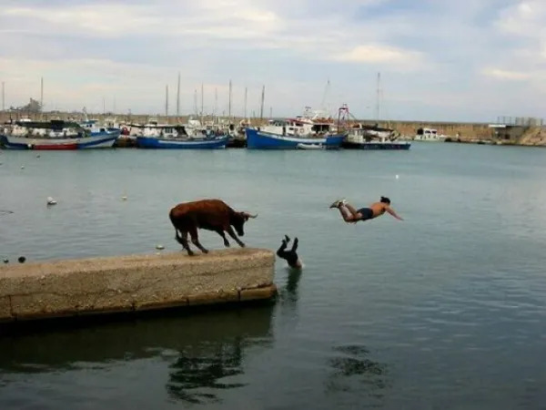 Right Moment (23 pics)