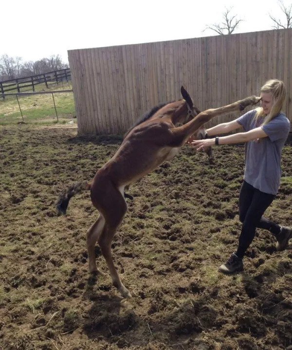 Right Moment (23 pics)