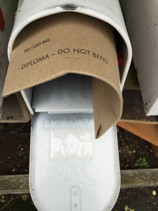 Failed Delivery (15 pics)