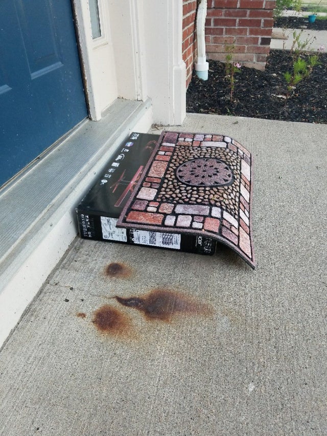 Failed Delivery (15 pics) Failed Delivery (15 pics)