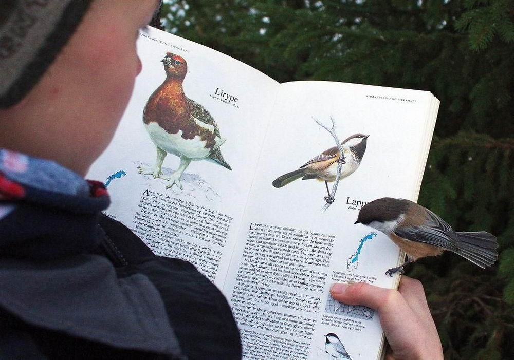 What Is Going On Here? (19 pics) What Is Going On Here? (19 pics)