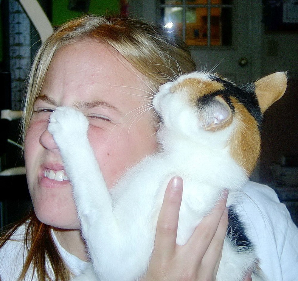 What Is Going On Here? (19 pics) What Is Going On Here? (19 pics)