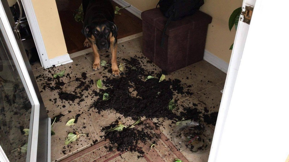 Unfortunate Situations (25 pics)