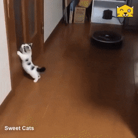 Acid GIFs, September 11 (25 gifs) Acid GIFs, September 11 (25 gifs)