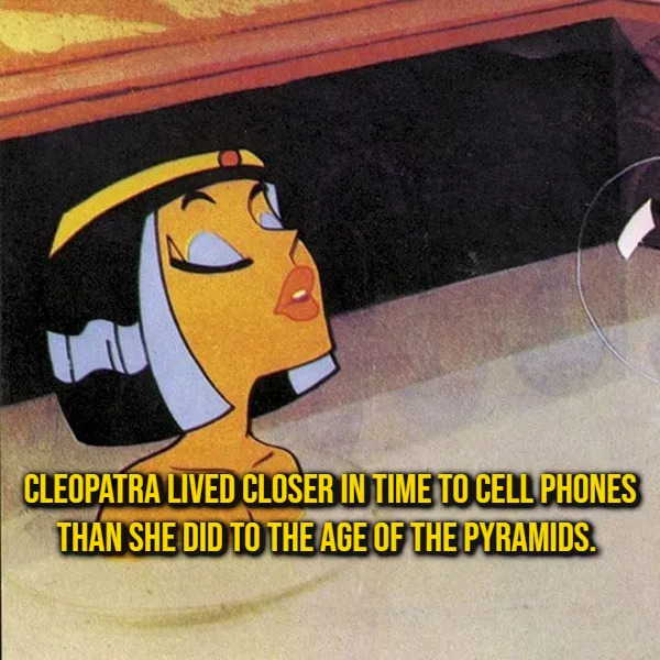 Random Facts (16 pics) Random Facts (16 pics)