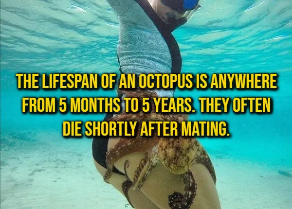 Random Facts (16 pics) Random Facts (16 pics)