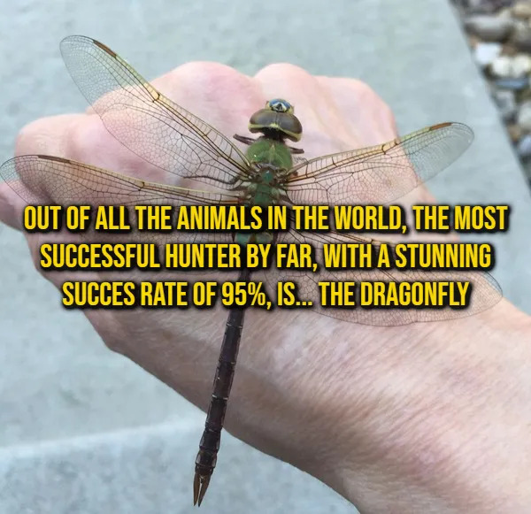 Random Facts (16 pics) Random Facts (16 pics)