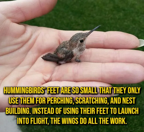 Random Facts (16 pics) Random Facts (16 pics)