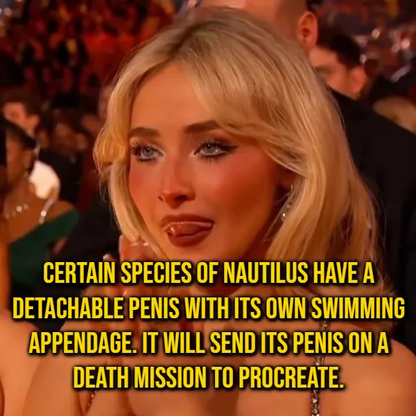 Random Facts (16 pics) Random Facts (16 pics)