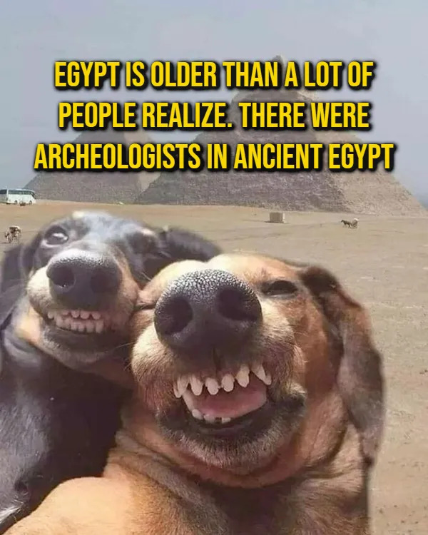 Random Facts (16 pics)