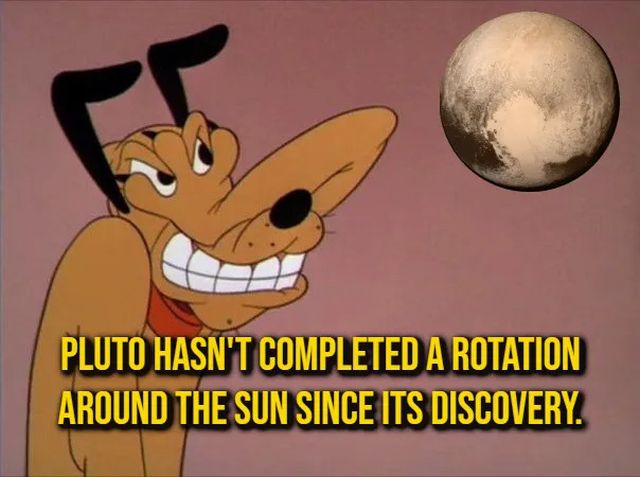 Random Facts (16 pics)