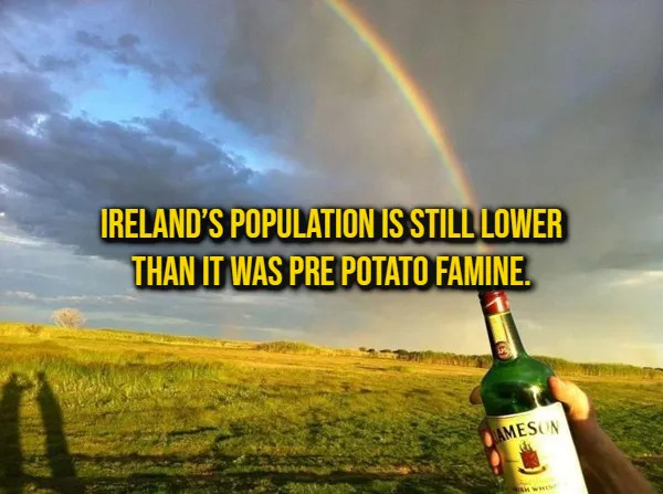 Random Facts (16 pics) Random Facts (16 pics)