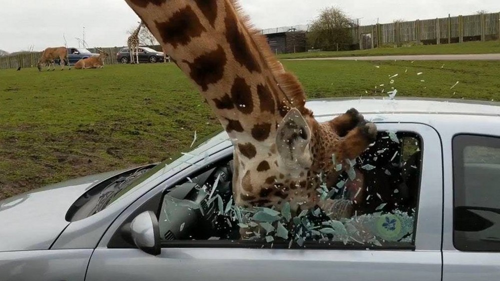 Bad Days Happen (25 pics)