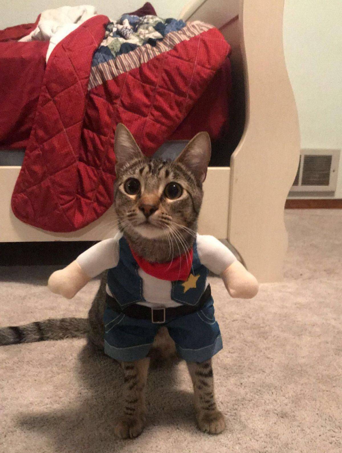Daily Pictures. Part 1 (77 pics)