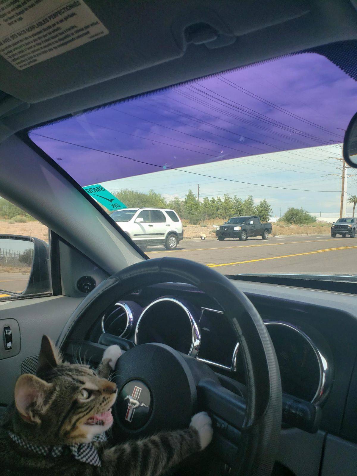 Daily Pictures. Part 1 (77 pics)
